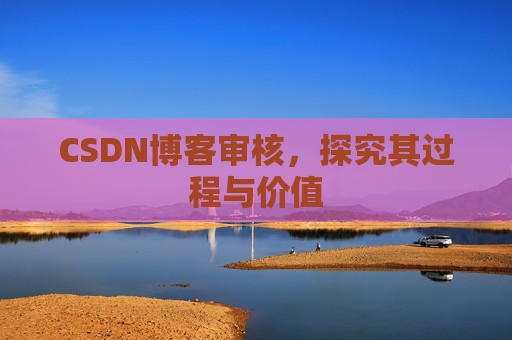 CSDN博客审核，探究其过程与价值